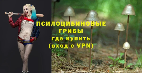 молекула духа Верея